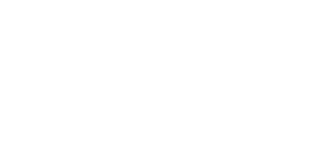 Amtico LVT Flooring